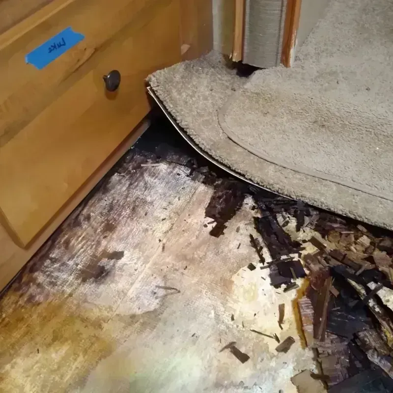 Wood Floor Water Damage in Independence, OH